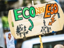 eco not ego