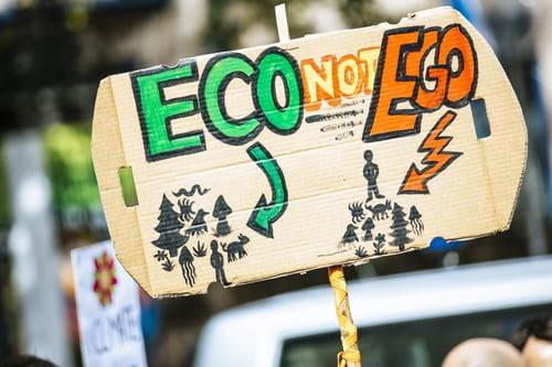 eco not ego