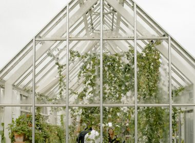 Greenhouse