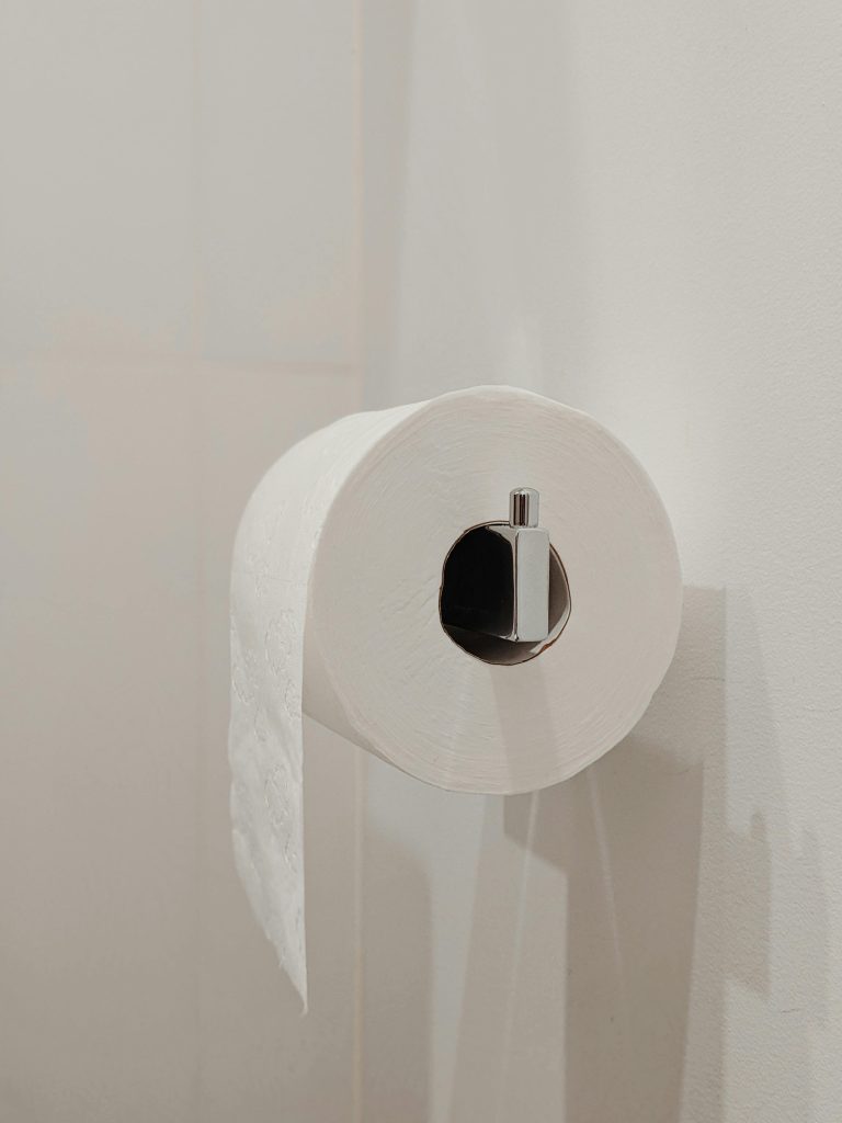 Bamboo Toilet Rolls