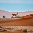 SecretNamibia Joins Responsible Travel Movement by Becoming ‘Friend of TOSCO’