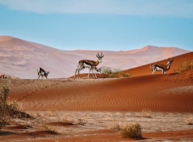 SecretNamibia Joins Responsible Travel Movement by Becoming ‘Friend of TOSCO’