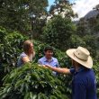 Coffee Price Highs Leave Fairtrade Farmers Behind