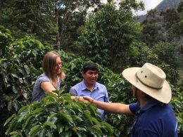 Coffee Price Highs Leave Fairtrade Farmers Behind