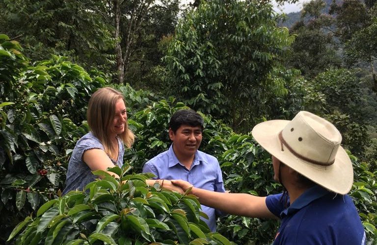 Coffee Price Highs Leave Fairtrade Farmers Behind