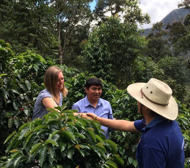 Coffee Price Highs Leave Fairtrade Farmers Behind