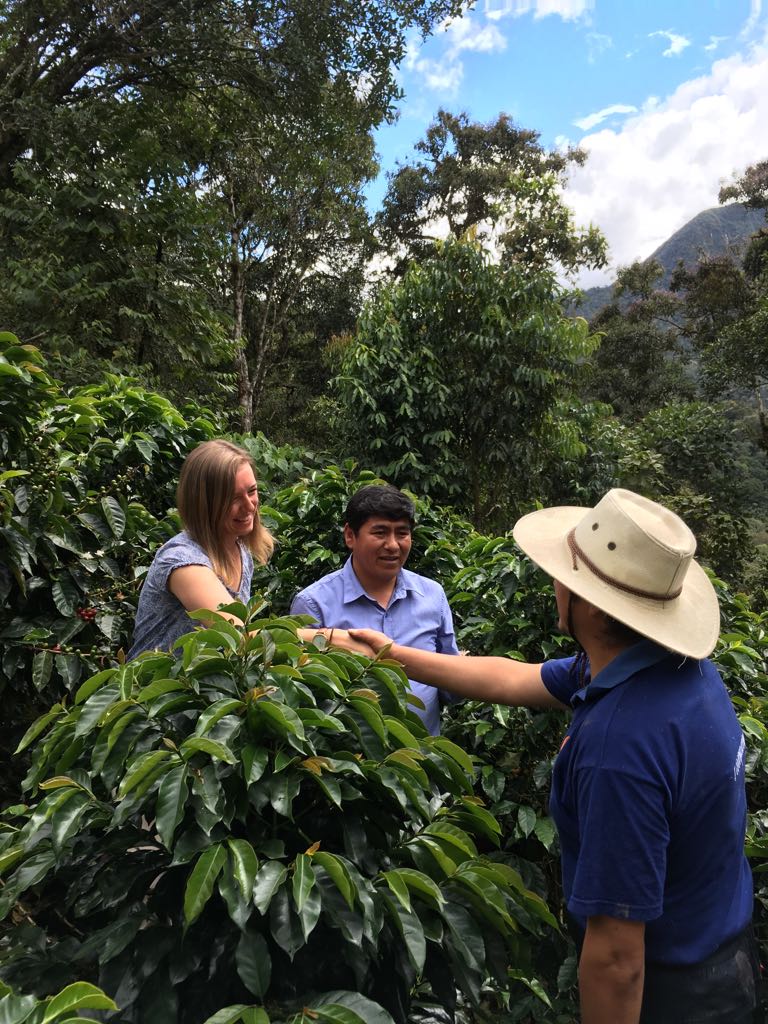 Coffee Price Highs Leave Fairtrade Farmers Behind