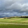 330-Acre Biodiversity Project Launches to Restore Historic Sussex Farmland