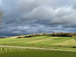 330-Acre Biodiversity Project Launches to Restore Historic Sussex Farmland