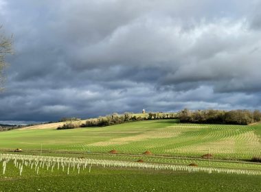330-Acre Biodiversity Project Launches to Restore Historic Sussex Farmland