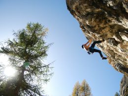 Alexander Apostolopoulos