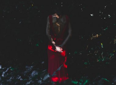 Lacey carroll david copperfield