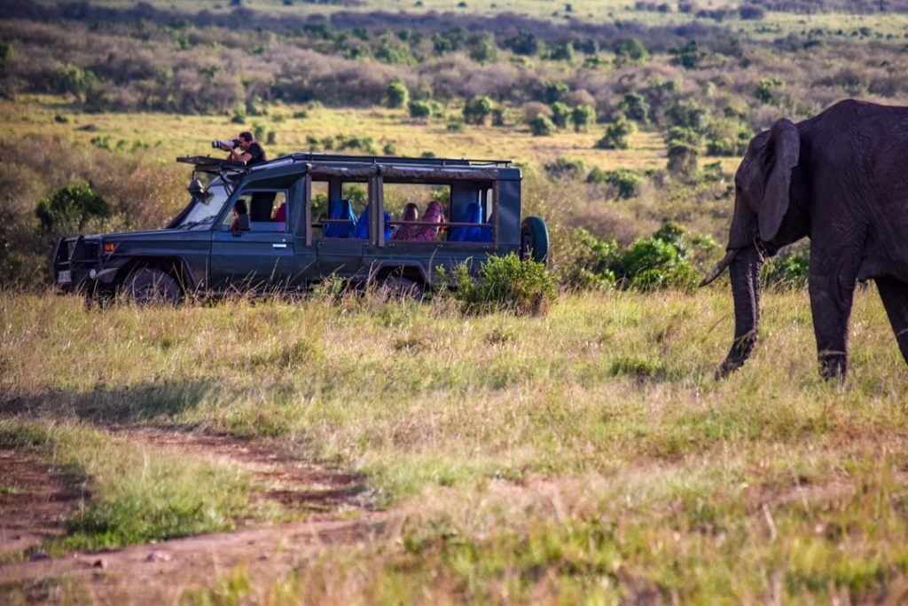 sustainable luxury safaris