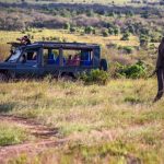 sustainable luxury safaris