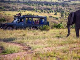 sustainable luxury safaris