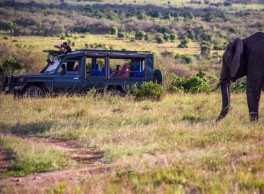 sustainable luxury safaris