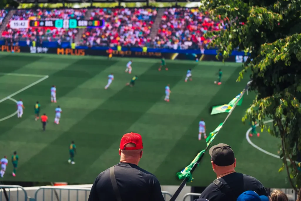 FIFA World Cup privatisation plan