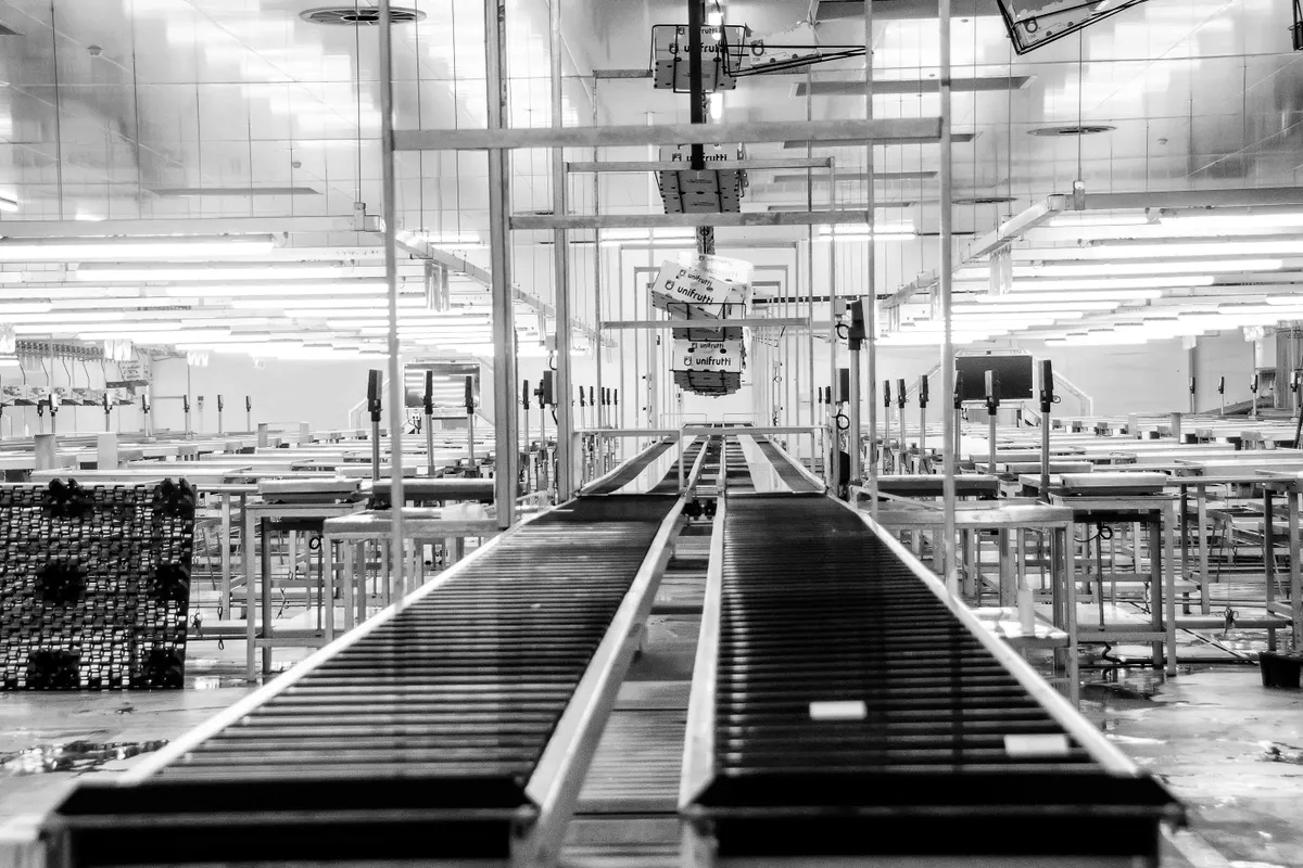 Raleigh insolvency proceedings