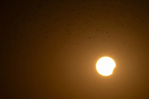 solar eclipse glasses