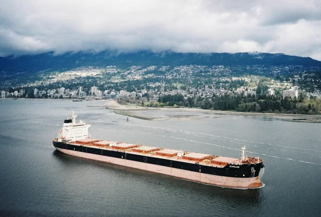 Black Sea grain exports