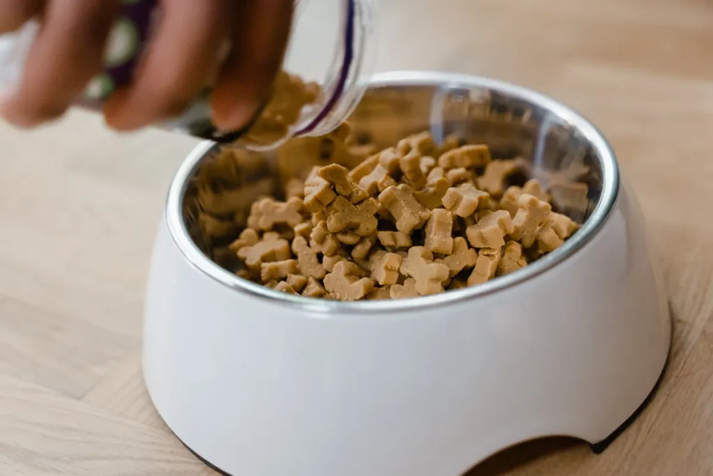 Years dog food recall