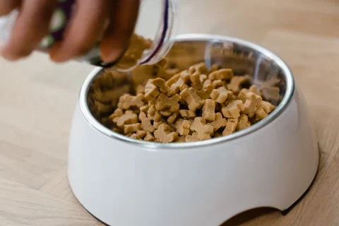 Years dog food recall