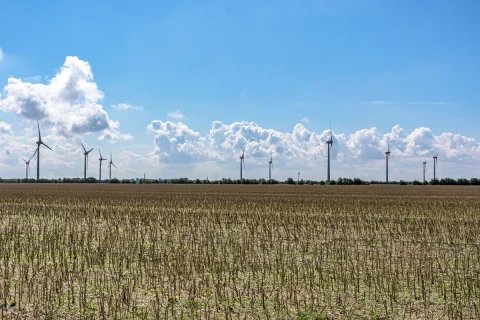 Brazil wind farm communities