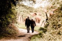 Older couple walking arm in arm along a sunlit woodland path