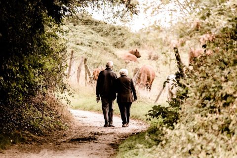 Older couple walking arm in arm along a sunlit woodland path