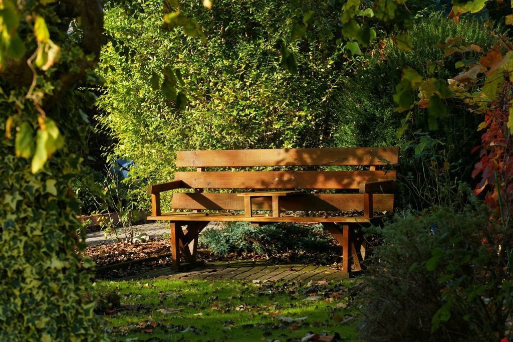 Wooden garden bench in a green, tree-lined garden